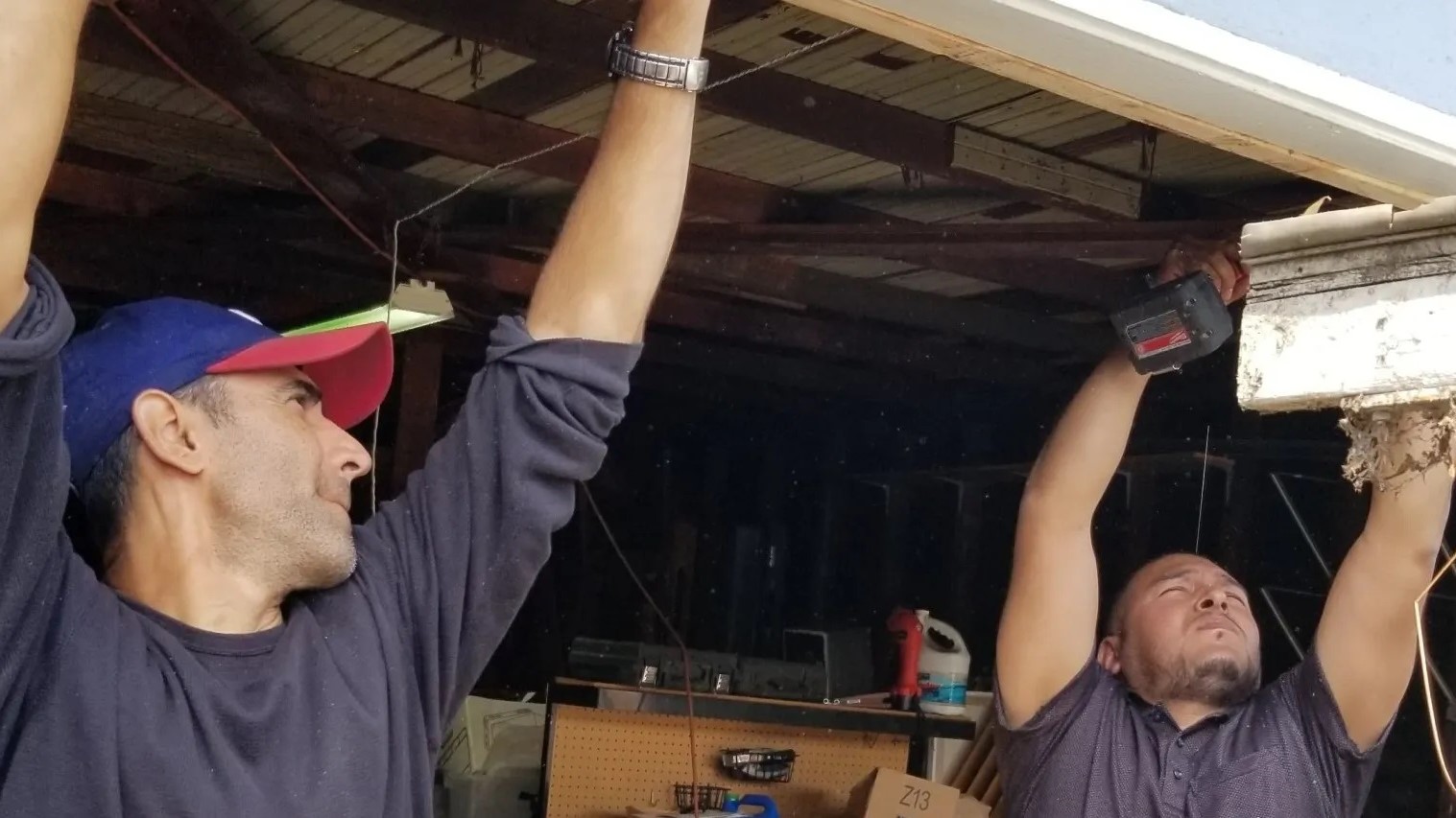 DuPage County garage door exterior